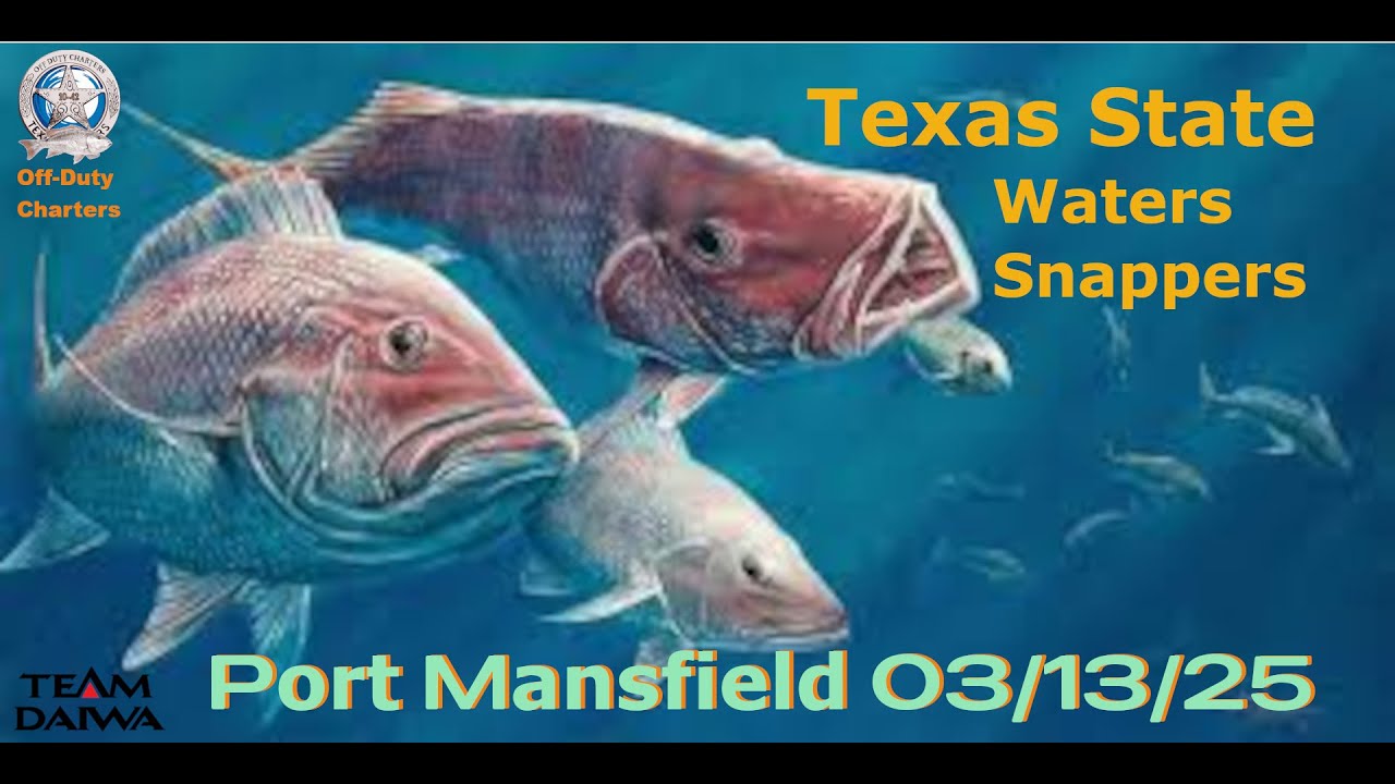 Port Mansfield, State Waters Snappers 03/13/25, Port Mansfield, Texas