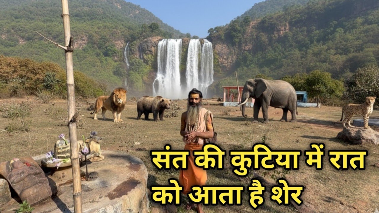 संत की कुटिया में रोज आते हैं जानवर संत करते हैं अकेले तपस्या