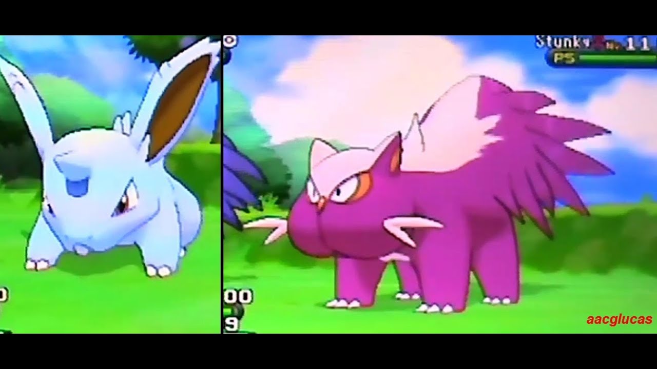 Pokemon X Capturando Shiny Stunky en 83 hordas y Nidoran (macho) en 11 hordas
