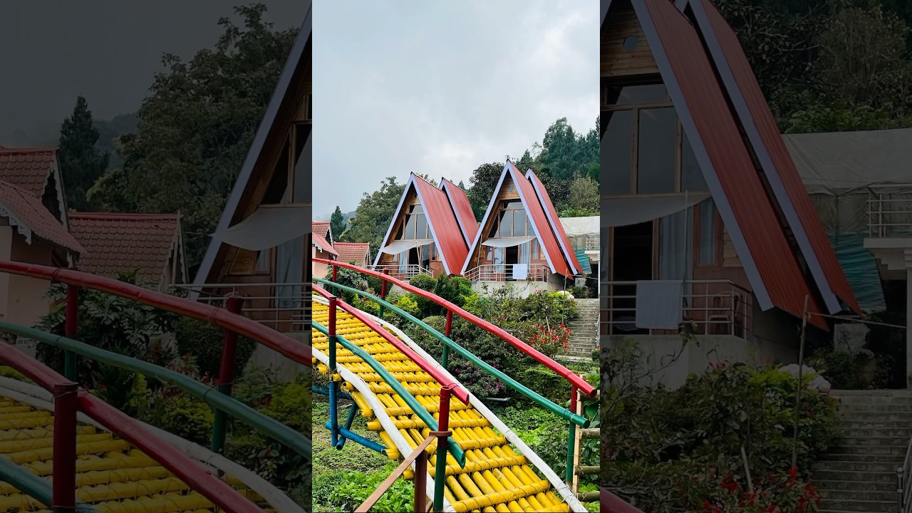 Kaffergaon homestay kalimpong 🌲