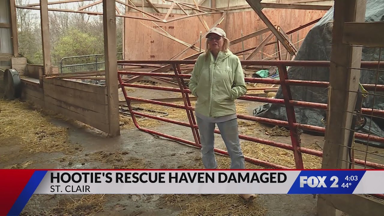 Storm destroys barn at Hootie's Rescue Haven in St. Clair