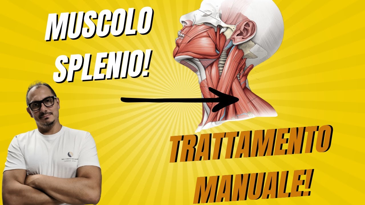 💪MUSCOLO SPLENIO DELLA TESTA E DEL COLLO! TRATTAMENTO MANUALE!