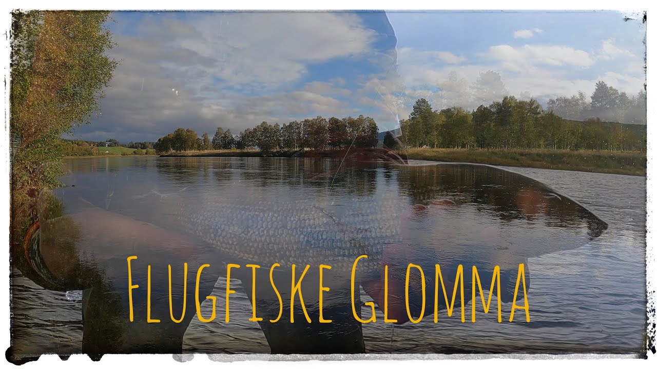 Flyfishing river Glomma sep 2025