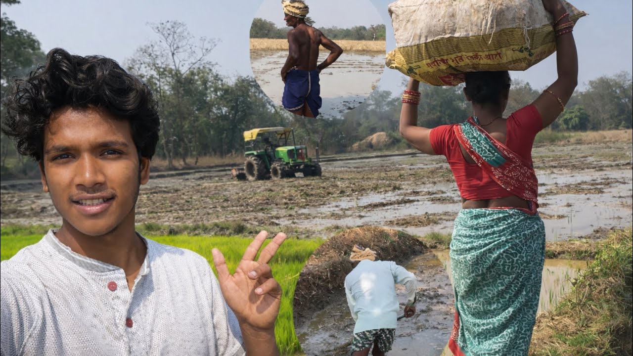 A day on our rice 🌾 farming in village ll TrotoVlog 
