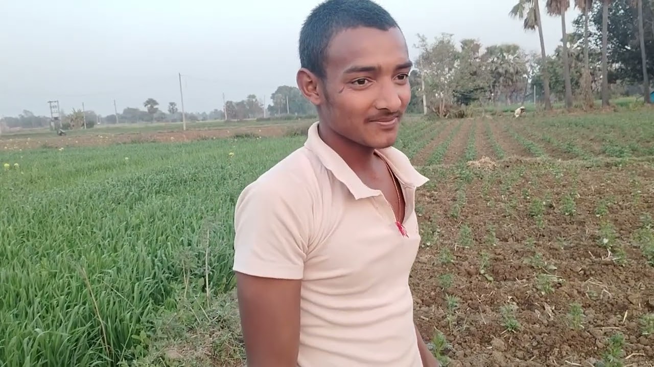Kisano ka nuksan phul ka barwad 