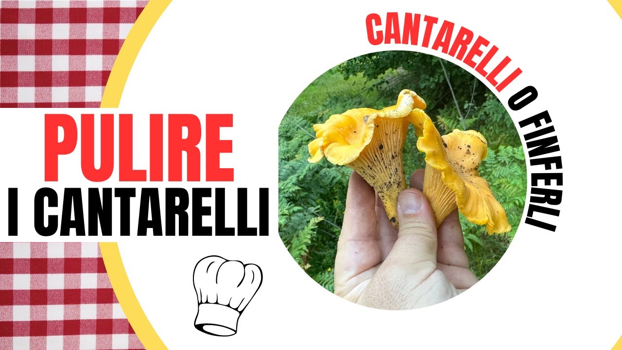 CANTARELLI - COME PULIRLI BENE E RAPIDAMENTE