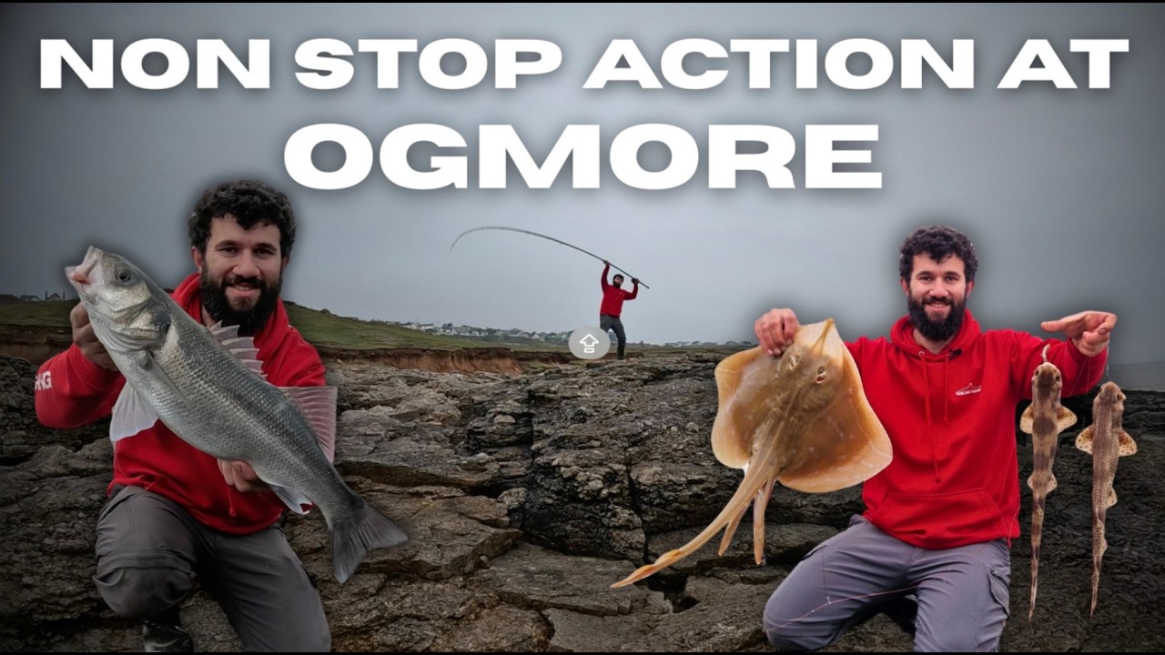 Non stop action at Ogmore : The most fish Ive caught in one session all year!