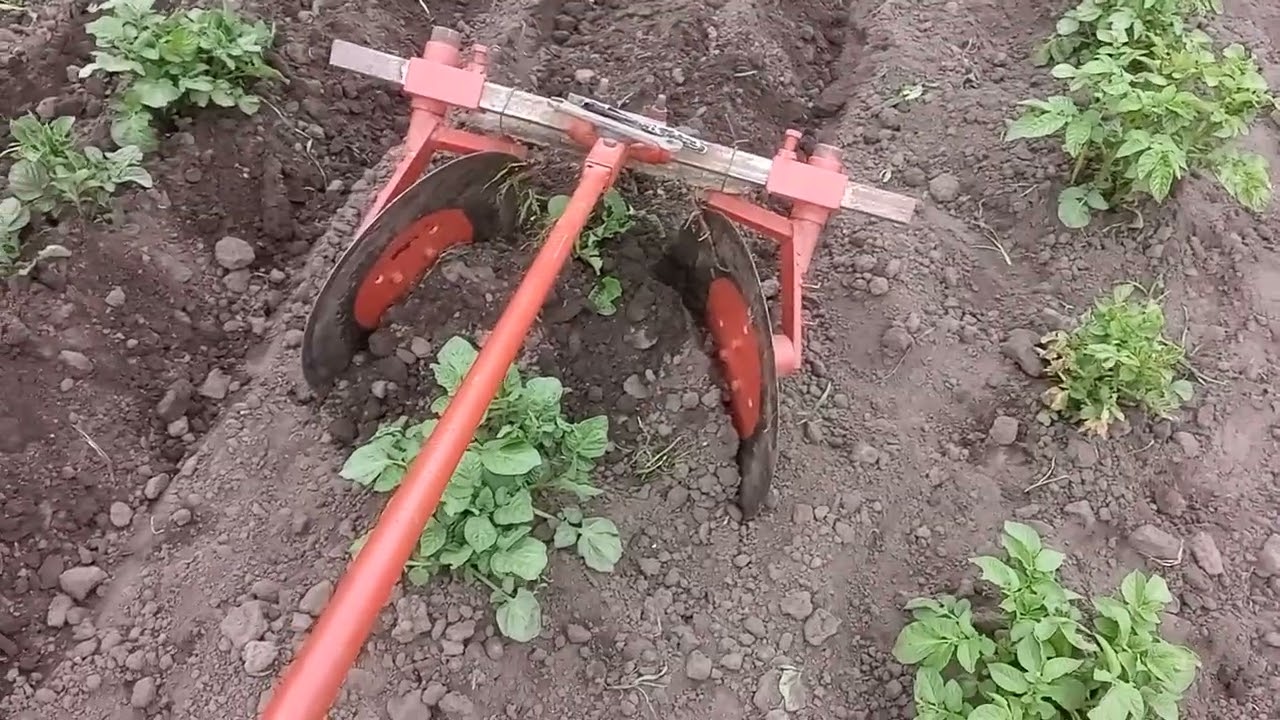 Ручной дисковый окучник. Первичная опашка картофеля.