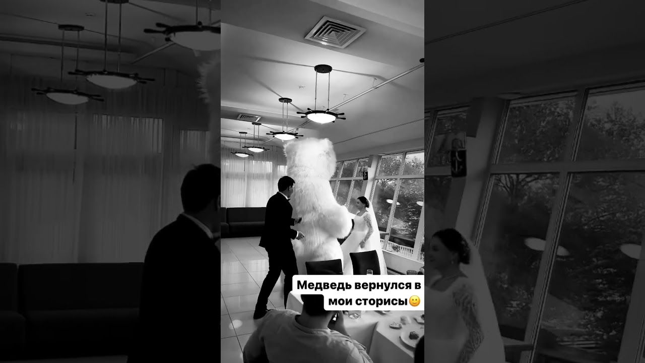 #медведь #свадьба #медведьнасвадьбу #невеста #ведущий #любовь #тренд #загс