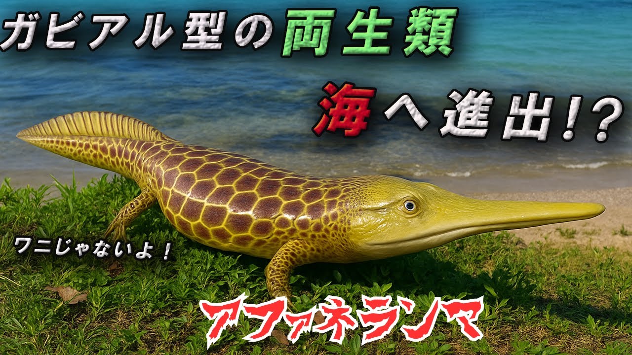 海に進出した両生類！？アファネランマの正体がヤバすぎた【ゆっくり解説】