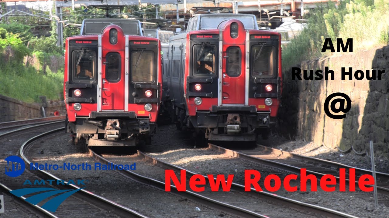 Metro North and Amtrak Morning Rush Hour Action @ New Rochelle