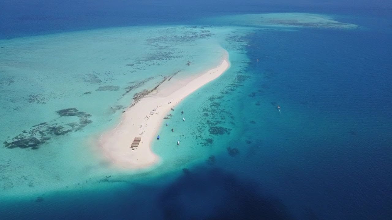 Safari Tanzania & Zanzibar - Dalla savana all'Oceano Indiano