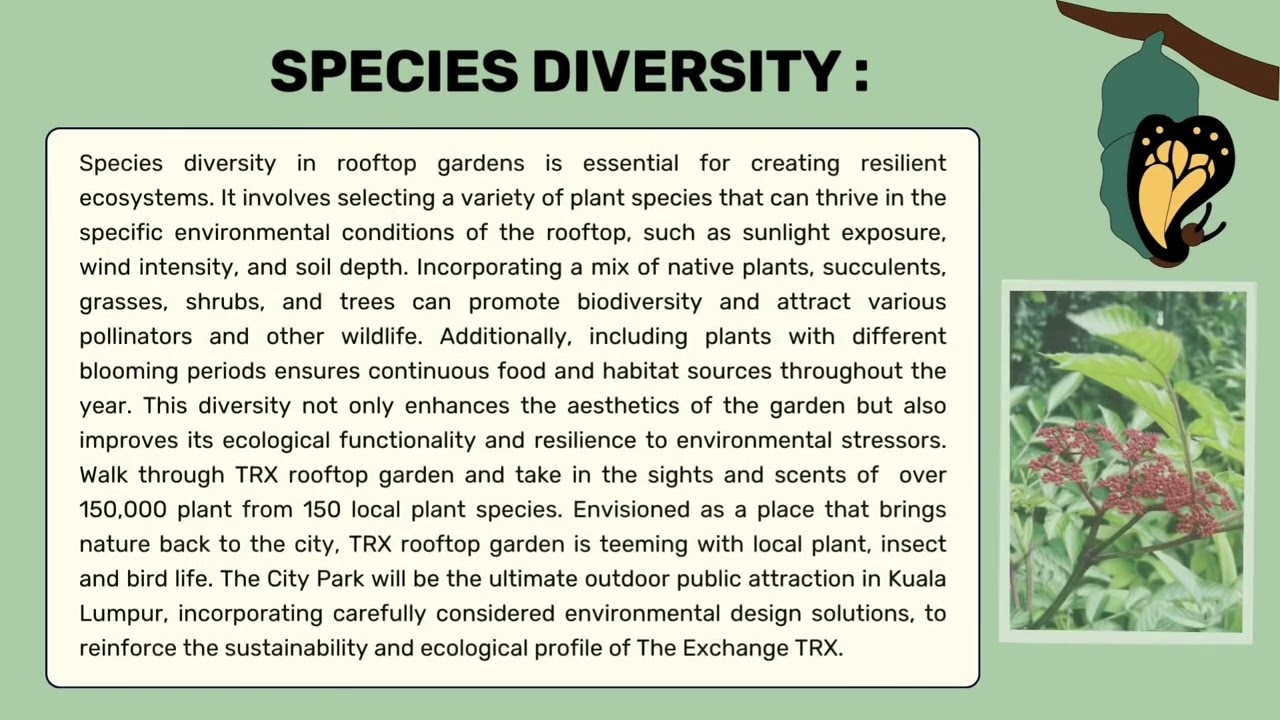 LAN 153 Study Case Analysis: Rooftop Garden
