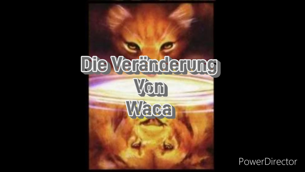 Die Veränderung von Waca (Spoiler Warnung)|Warrior Cats Honigblüte