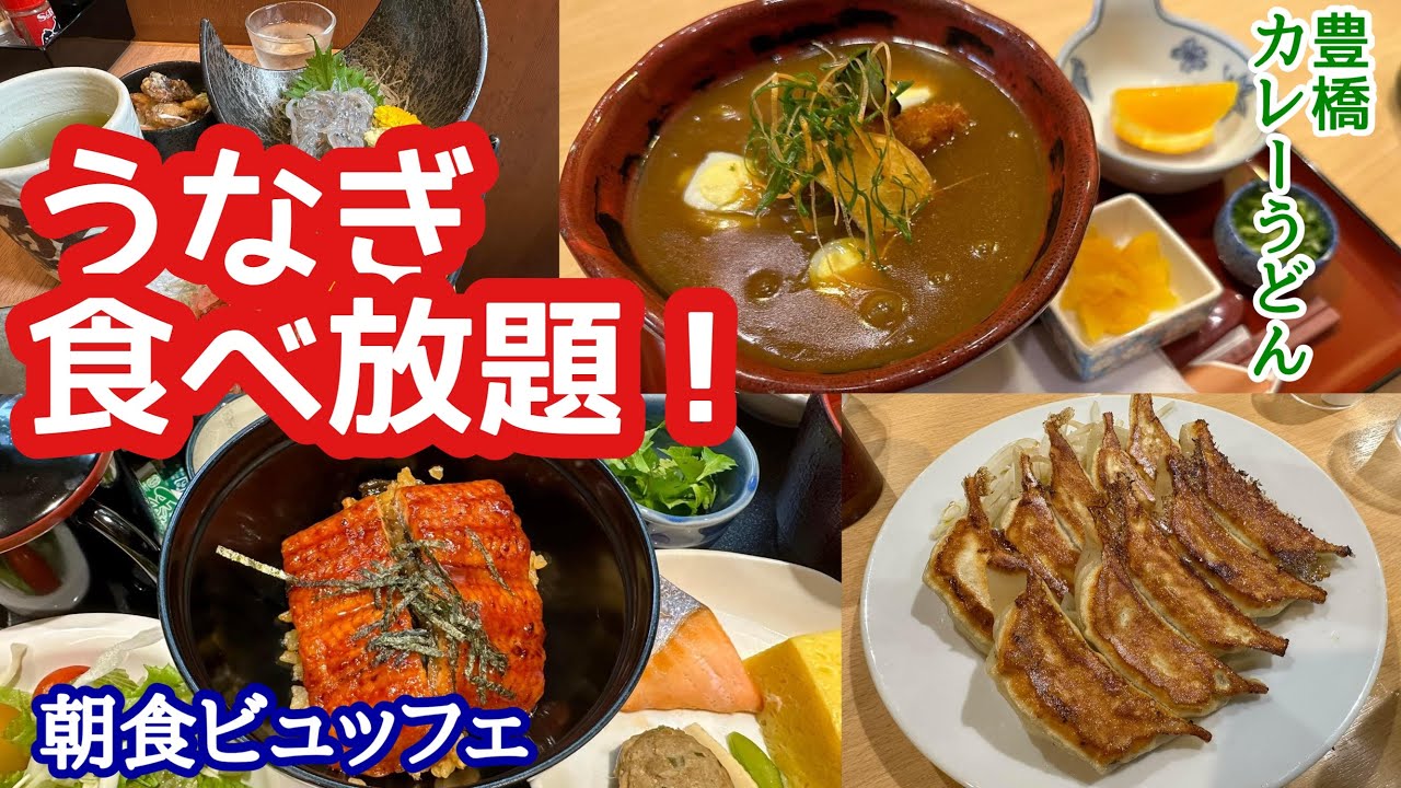 【コスパ最強】朝から鰻食べ放題のホテルドーミーインexpress豊橋に宿泊して地酒を飲みまくる旅「豊橋カレーうどん」「浜松餃子」