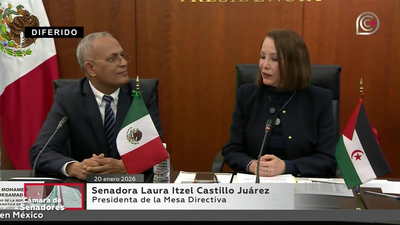 Visita al Senado del embajador designado de la República Árabe Saharaui Democrática en México
