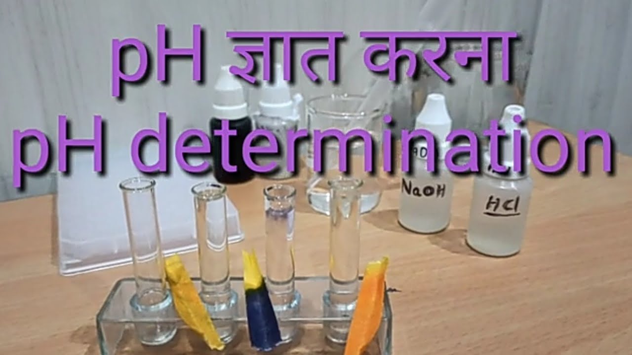 pH पीएच मान ज्ञात करना pH determination
