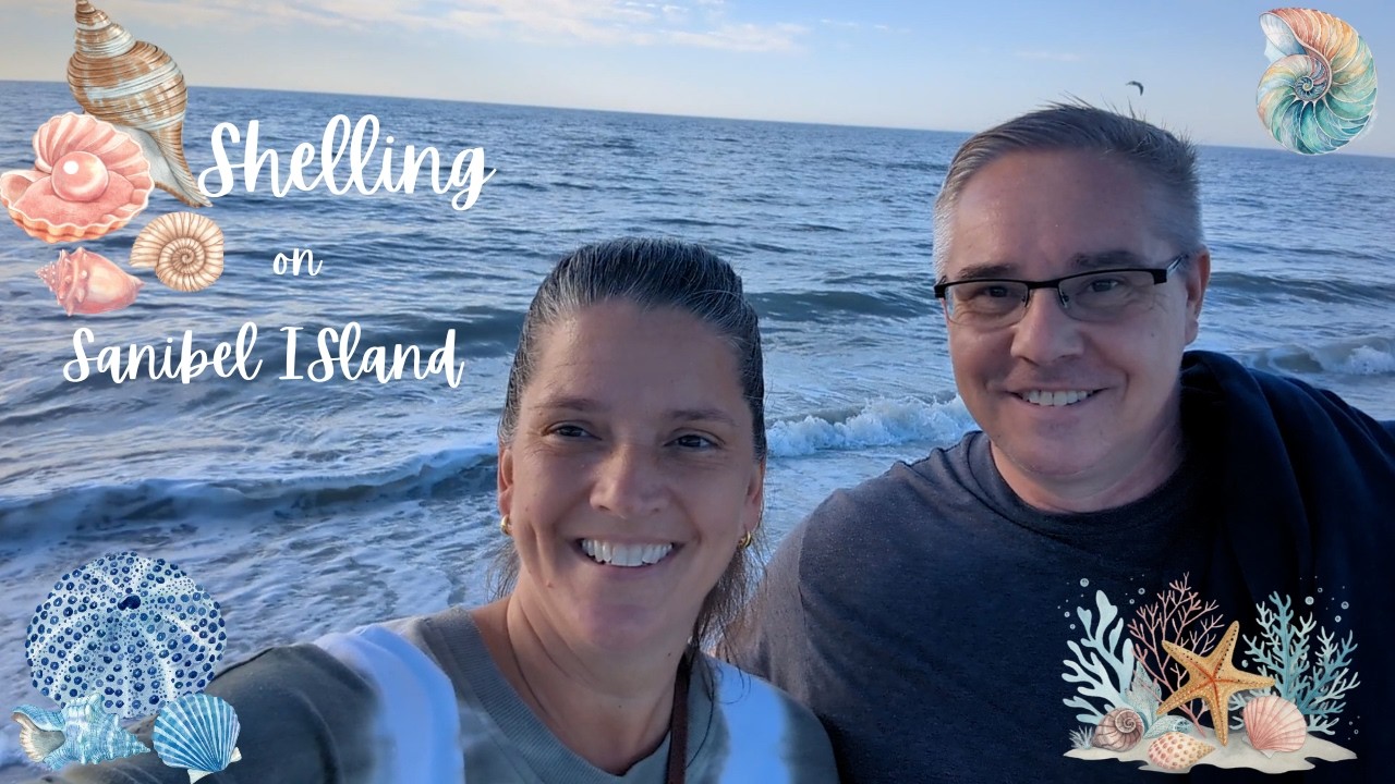 Come Shelling for the Day with us  on Sanibel Island- Look What we Found!!