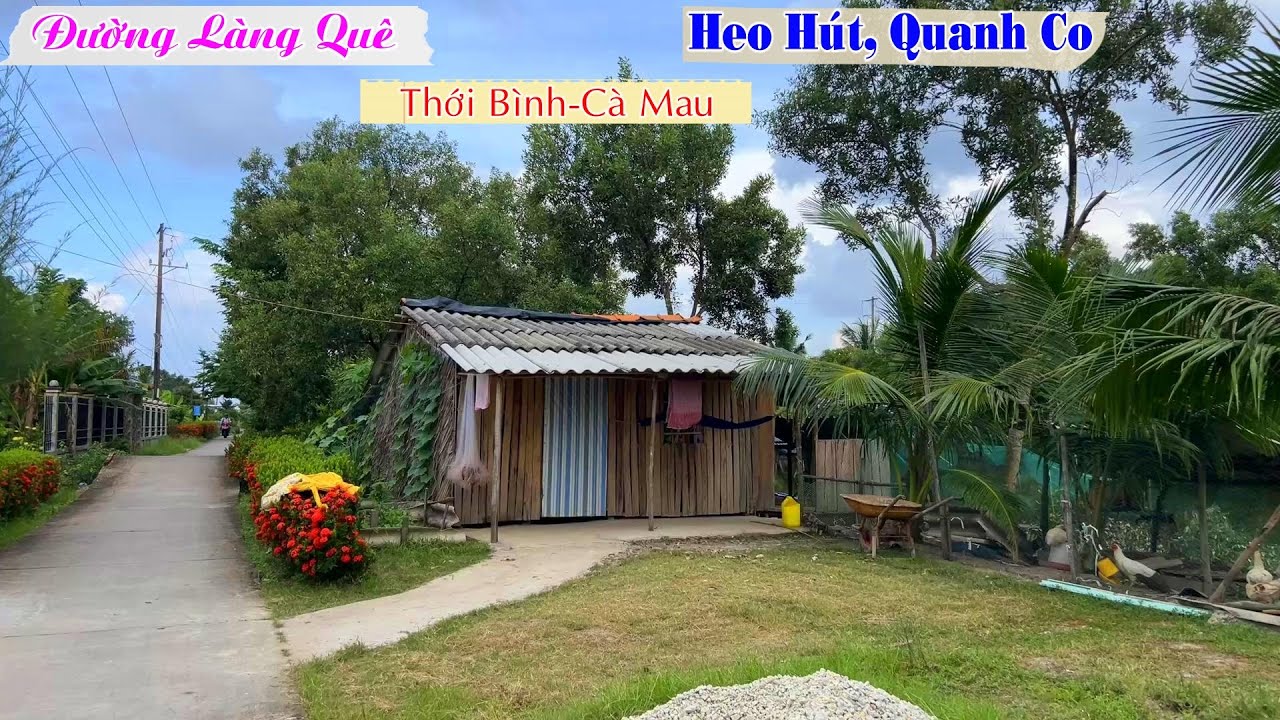 Du Hành Khám Phá Làng Quê Huyện Thới Bình Cà Mau, Heo Hút, Quanh Co, Cảnh Thiên Nhiên Tuyệt Đẹp.
