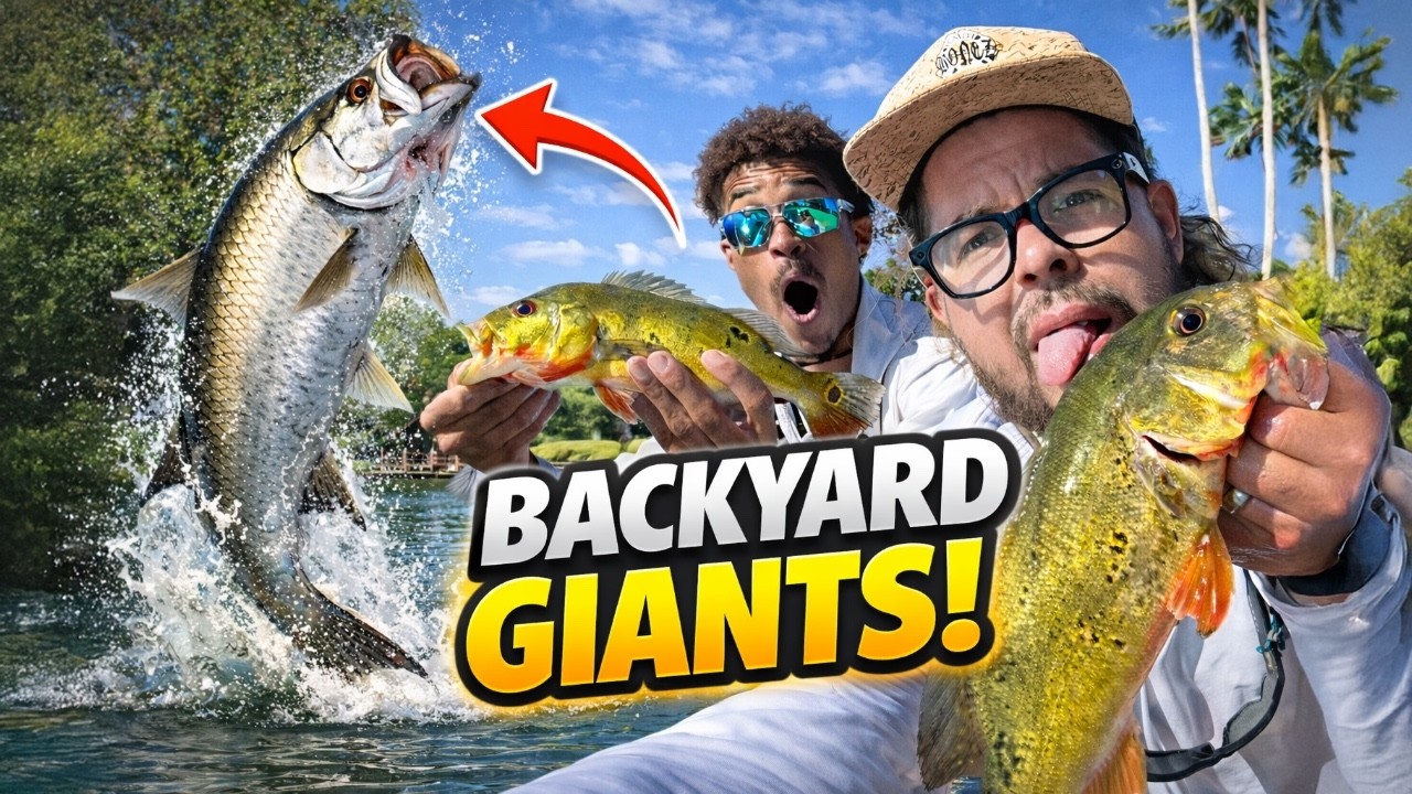 Florida Peacock Bass Fishing… Then a 100lb Tarpon Showed Up