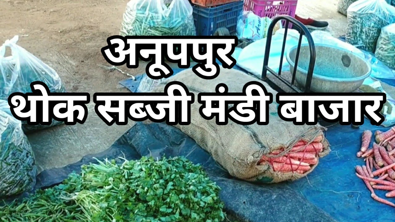 Anuppur thok sabji mandi bazar, अनूपपुर थोक सब्जी मंडी बाजार!