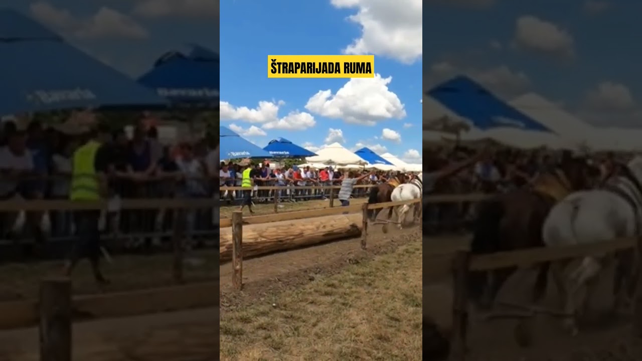 &Scaron;traparijada Ruma