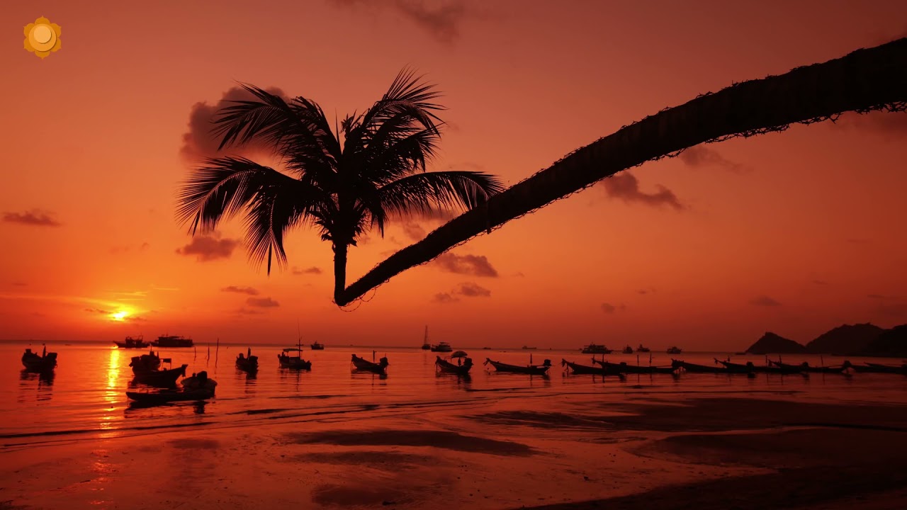 Buddha Lounge Chillout Music ◈ Buddha Bar Chill out Music ◈ Caf&eacute; Bar Restaurant Background Music Mix