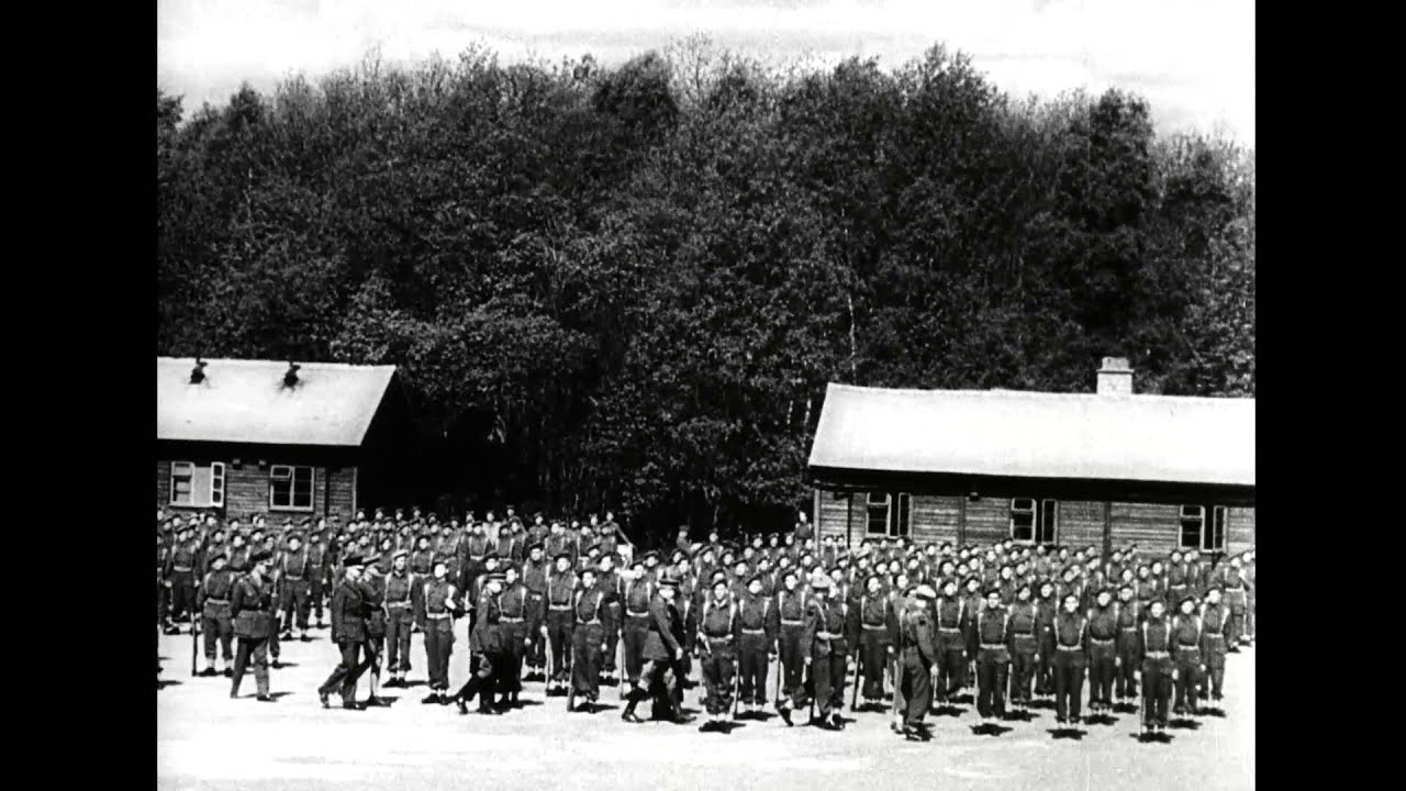 Canadian Army Newsreel No. 8