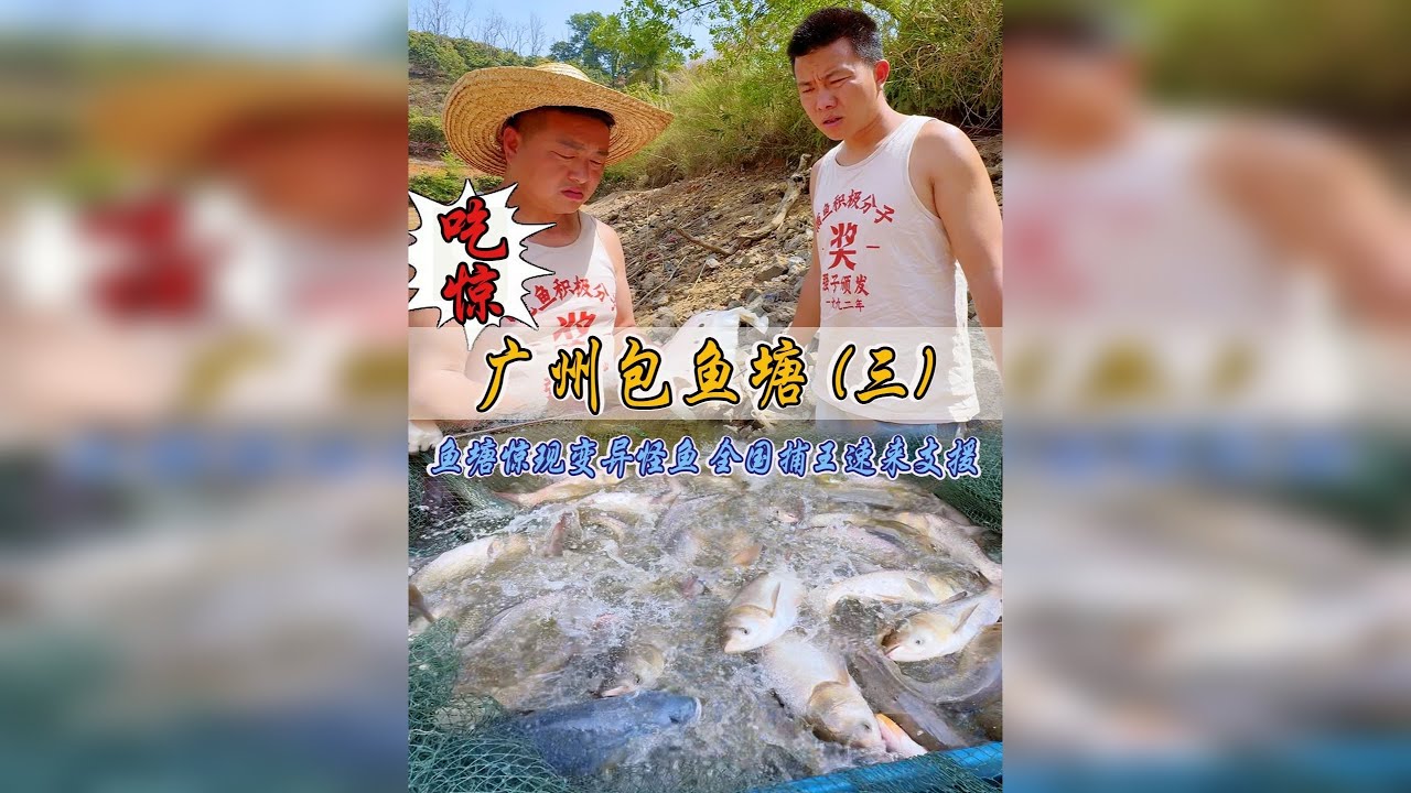 1万块钱包下爱情鱼塘，里面惊现变异怪鱼，全国捕王速来支援！