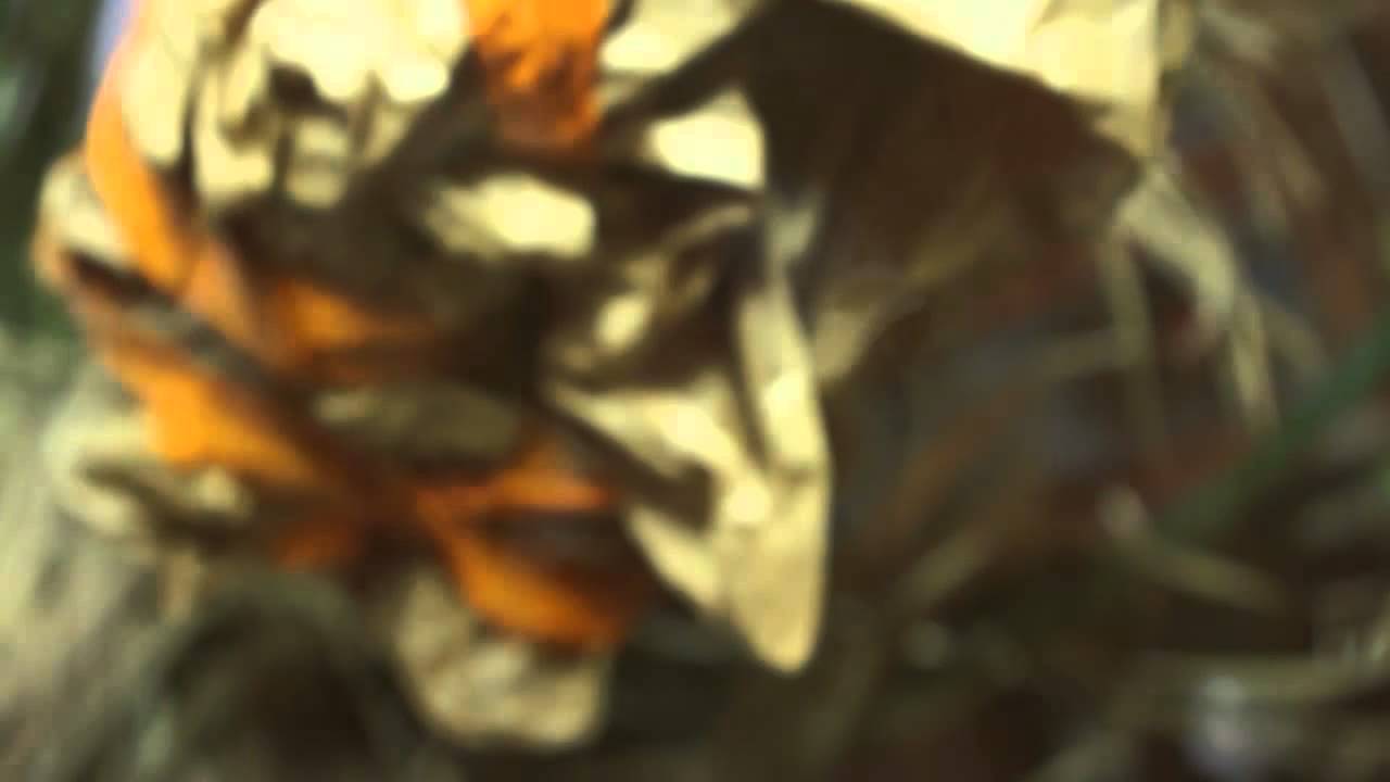 Killing Time Killing Love - Ordo Equitum Solis