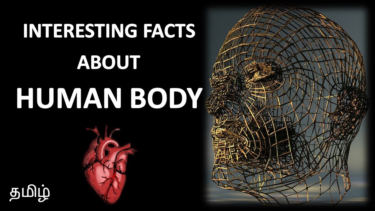 Amazing facts about human body in tamil l மனித உடலின் ரகசியங்கள் l Human Body l Tamil Facts