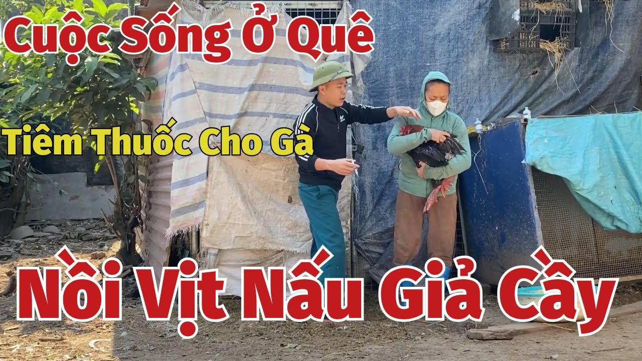 Cuộc sống ở quê: Tiêm thuốc cho gà và nồi vịt nấu giả cầy