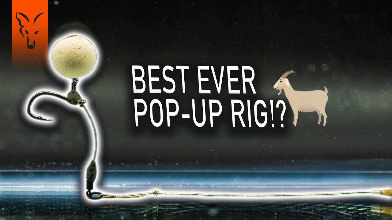 The Hinge Rig! | How to Tie The Hinge Rig | Carp Fishing