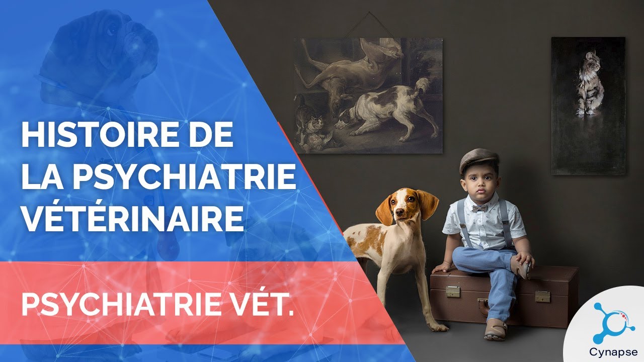 Histoire de la psychiatrie vétérinaire - PSYCHIATRIE VÉTÉRINAIRE