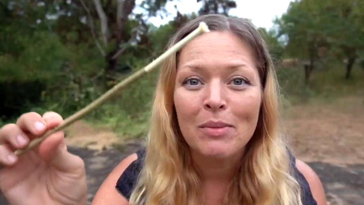 Traveller Uses Natural Twig Toothbrush