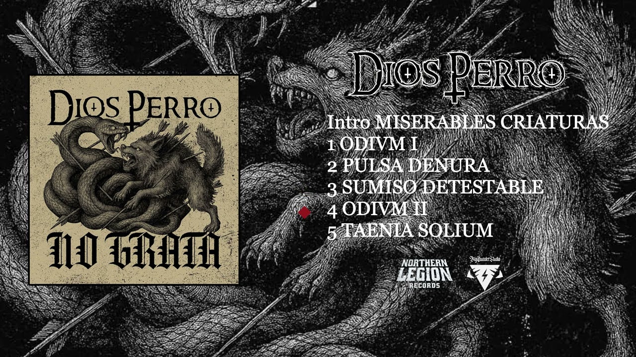 Dios Perro SPLIT