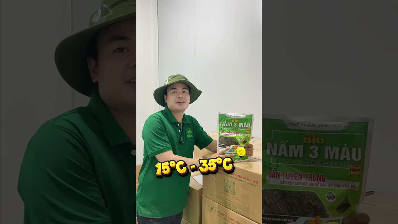 Nấm 3 m&agrave;u sinh trưởng tốt ở nền nhiệt như thế n&agrave;o?