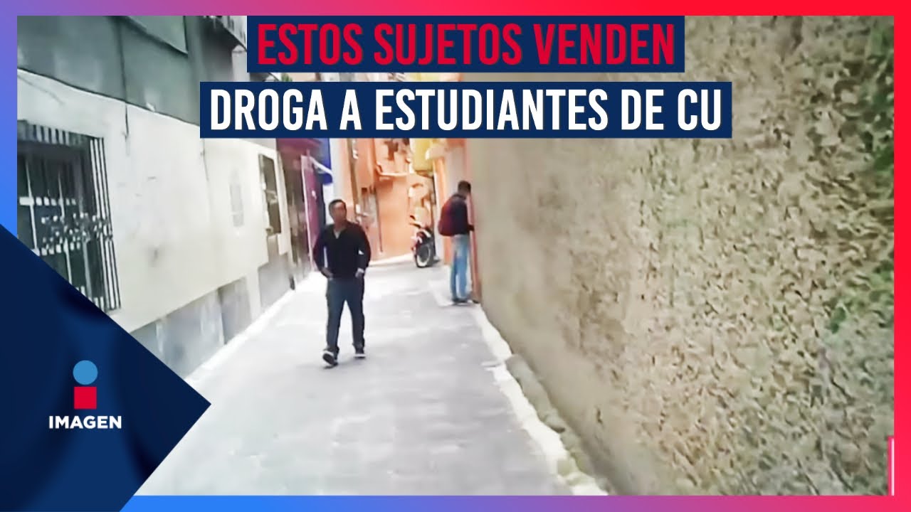 Narcomenudistas trafican frente a patrullas de Coyoacán | Noticias con Ciro Gómez Leyva
