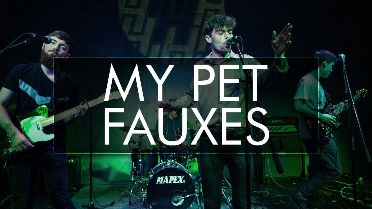 MY PET FAUXES INTERVIEW (2018)