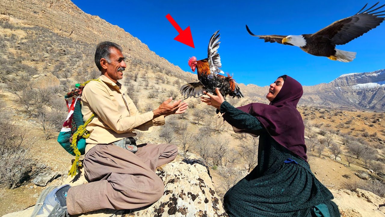 Two nomadic couples who were hiking in the mountains suddenly encountered a rooster.🐓
