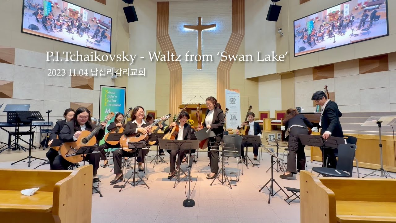 P.I. Tchaikovsky - Waltz from 'Swan Lake (백조의 호수)'