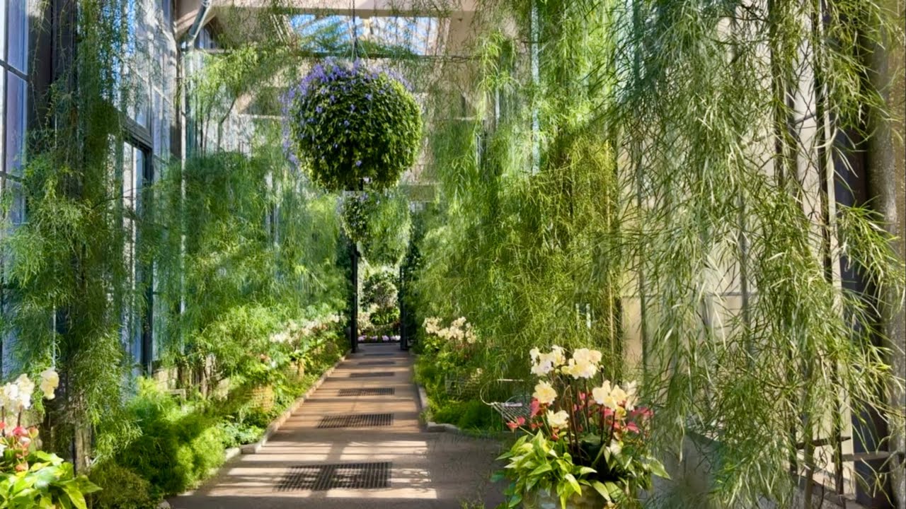 Longwood Gardens Conservatory Tour! Walk Through Pennsylvania’s Largest Glass Home in Winter!