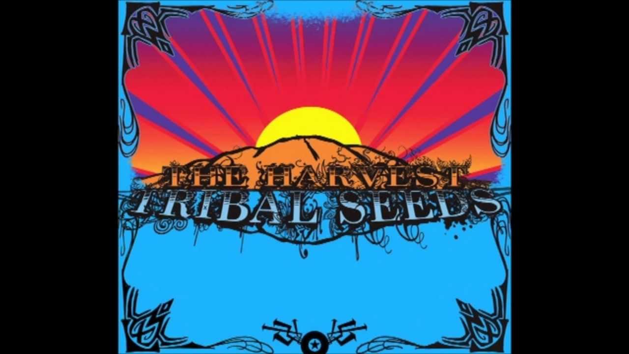 Tribal Seeds - Stillness Of Night