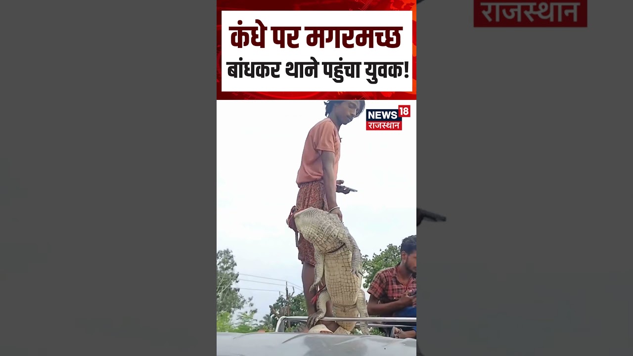 Viral Video: 5 फीट के मगरमच्छ को कंधे पर उठाकर थाने पहुंचा युवक | N18S | Shorts