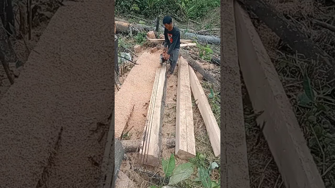 Belah kayu jadi papan