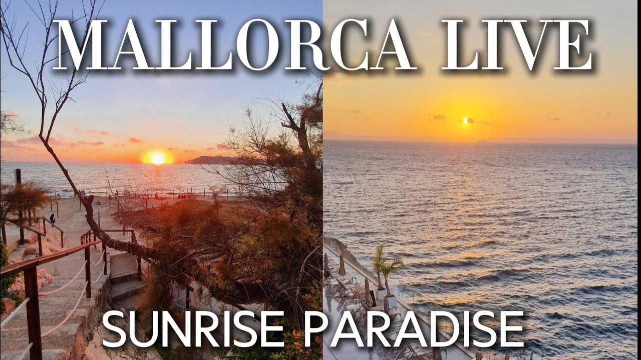 Mallorca Sunrise | 20 Minutes of Peaceful Morning Nature
