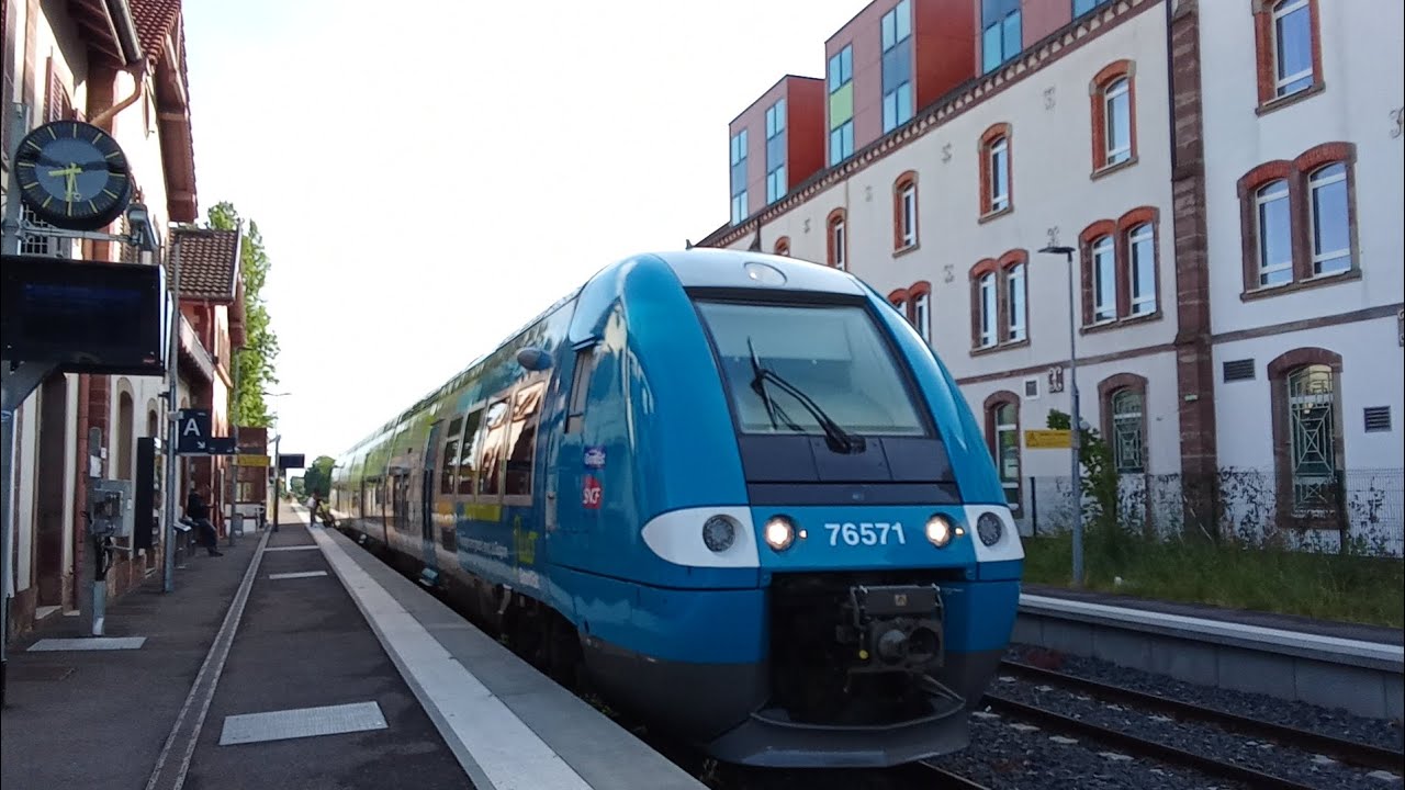 De très belles prises ! Rétrospective 2025 - Partie 2 