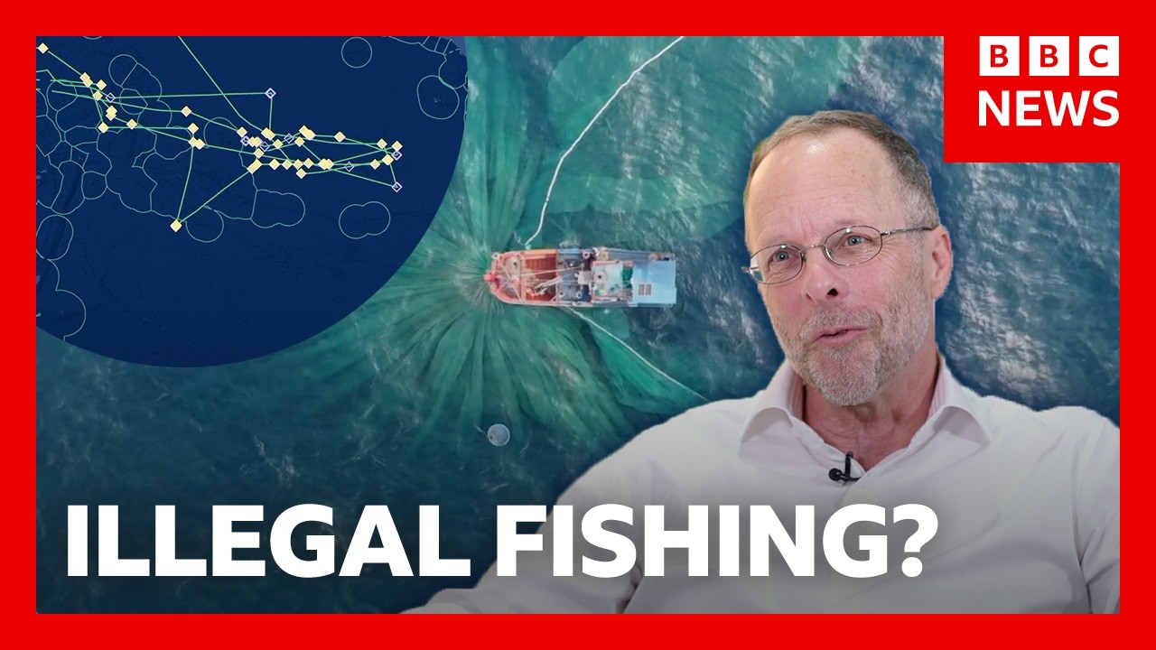 Inside the mission to track global fishing | BBC News