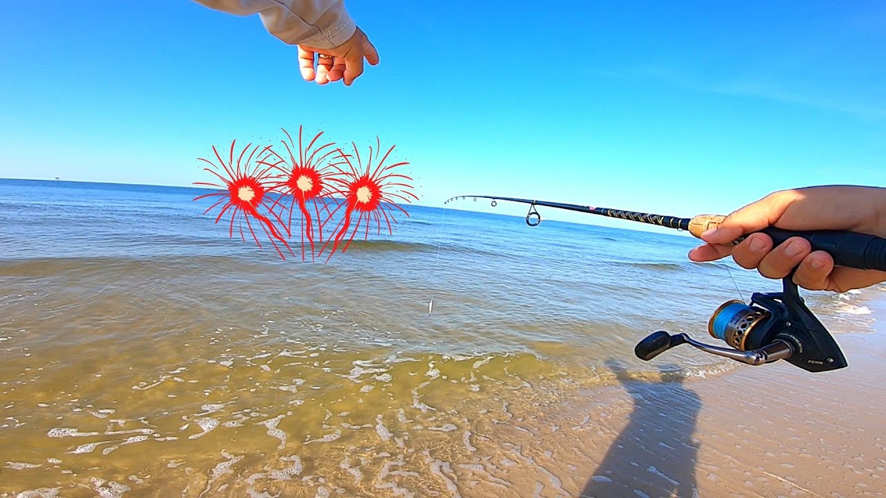 Chasing BLITZING Fish Down the BEACH