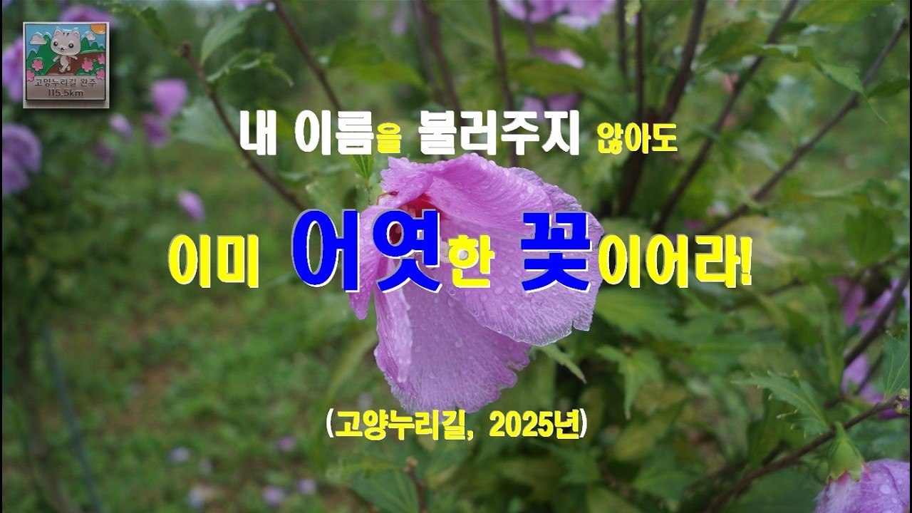 (Shorts_97) 내 이름을 불러주지 않아도, 이미 어엿한 꽃이어라!